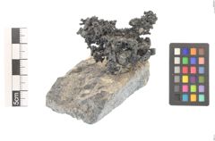 Foto von Silber (NHMW-MIN-Ai513)